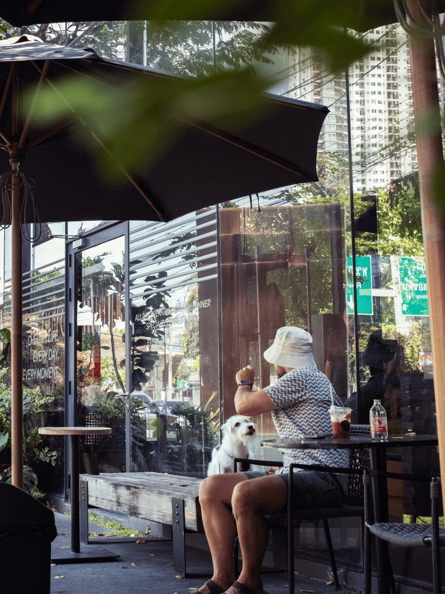 Kaizen Coffee