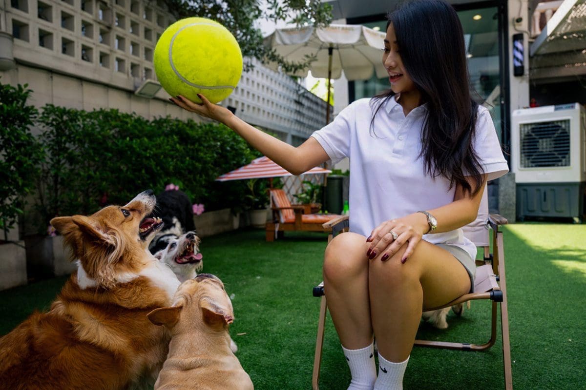 Aor playing with dogs in the cage-free garden at Holiday Haus