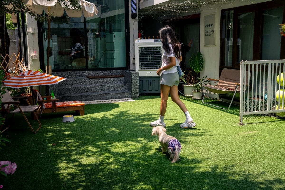 Aor outside Holiday Haus in Ekkamai