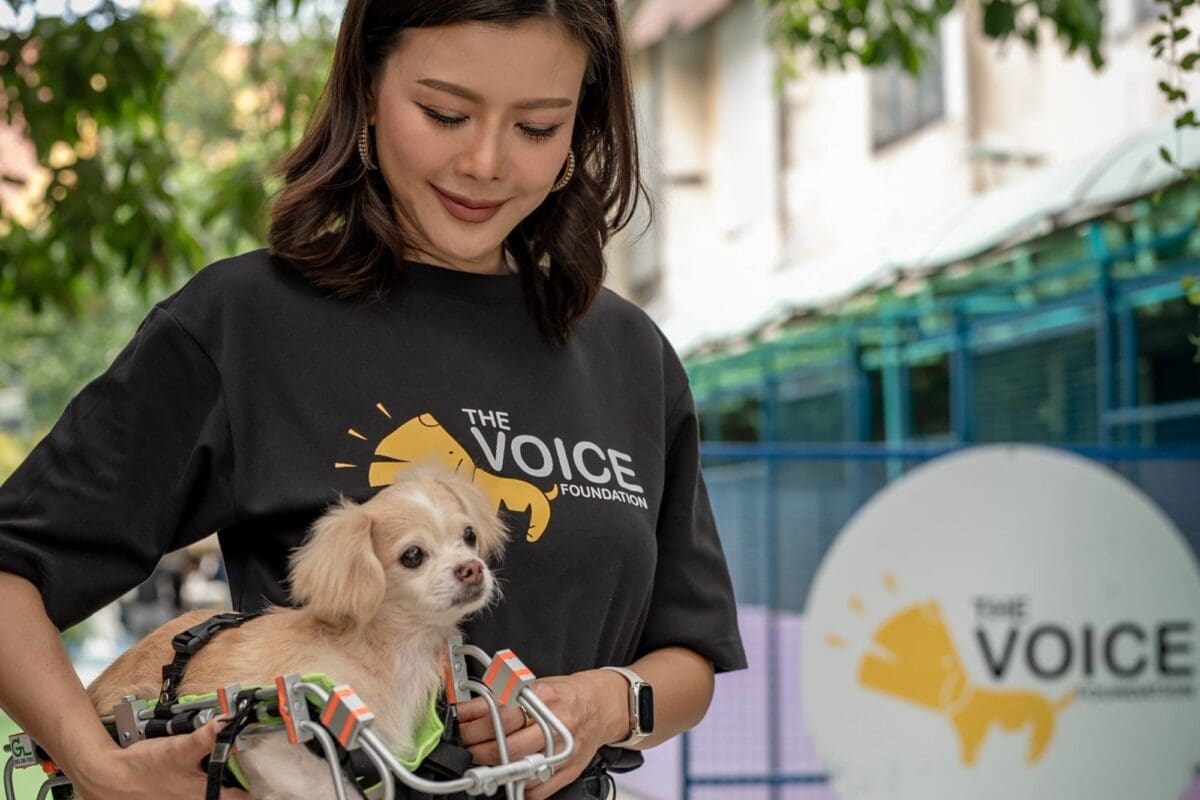 Kae Chollada, founder of The Voice Foundation, holding a small rescue dog in a wheelchair outside the foundation in Bangkok
